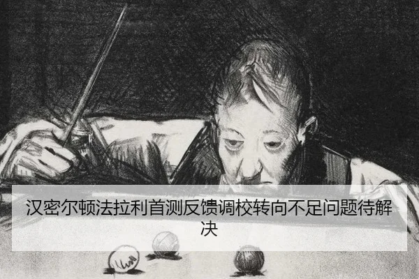 han-mi-er-dun-fa-la-li-shou-ce-fan-kui-diao-xiao-zhuan-xiang-bu-zu-wen-ti-dai-jie-jue-2-776.jpg