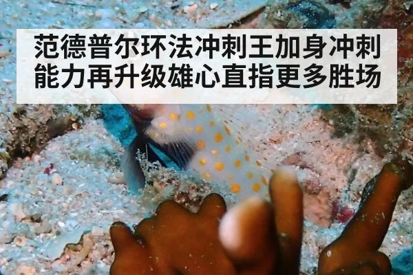 范德普尔环法冲刺王加身冲刺能力再升级雄心直指更多胜场