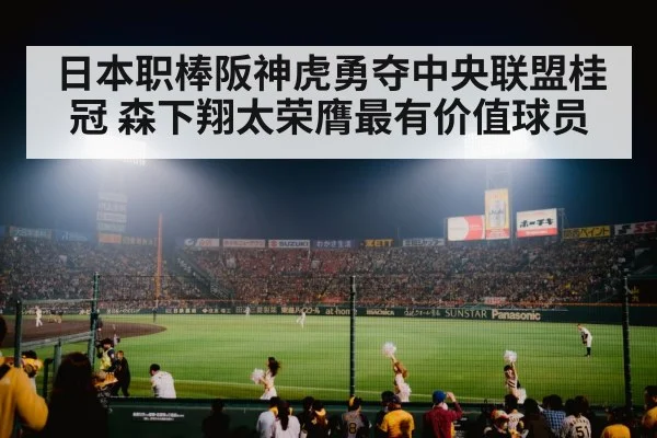baseball stadium night game