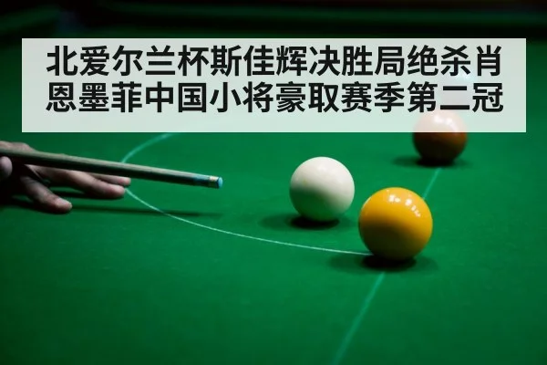 北爱尔兰杯斯佳辉决胜局绝杀肖恩墨菲中国小将豪取赛季第二冠